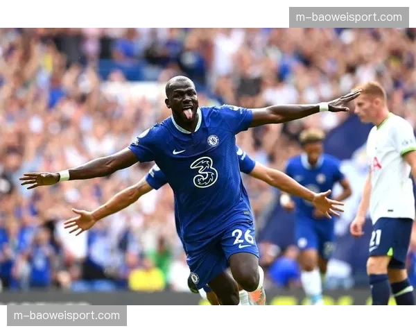 沙特公共投资基金被传有意收购埃弗顿少数股权